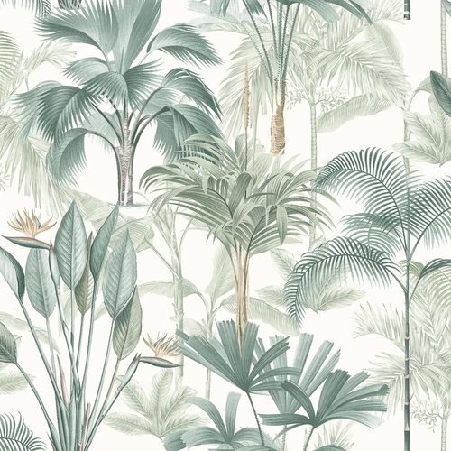 922908 - Signature tapéta