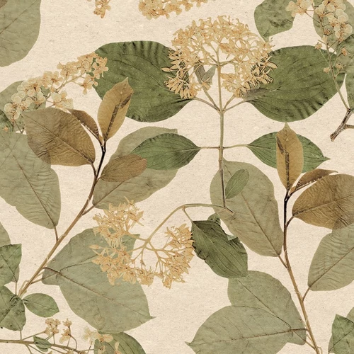 Herbarium vlies tapéta – természetközeli, növényi motívumok, HE27223