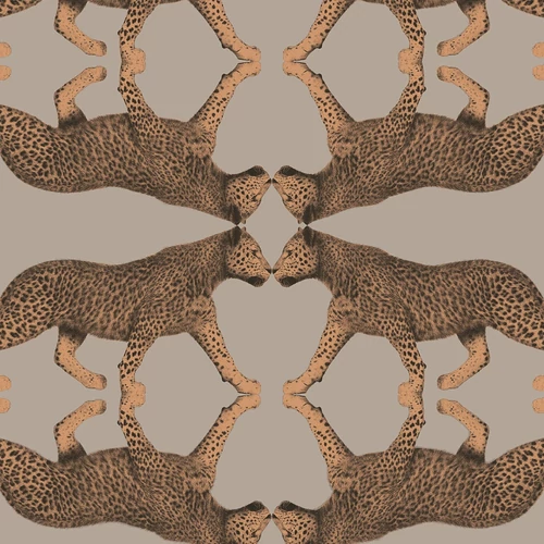 Tapéta