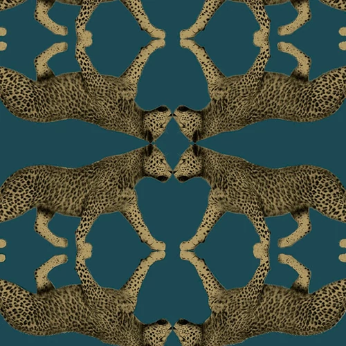Tapéta