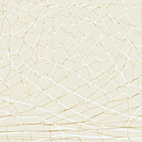 Panel