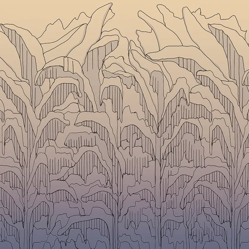 Panel