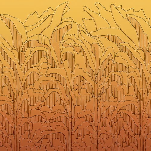 Panel