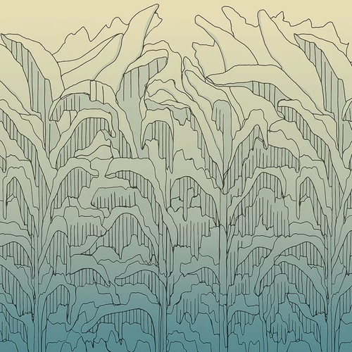 Panel