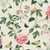 Kép 1/5 - RHS Chinoiserie Charmer krém tapéta